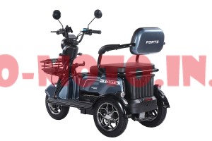 Електротрицикл Forte Family-WN1072